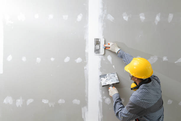 Best Post-Construction Mold Inspection  in Kathleen, FL