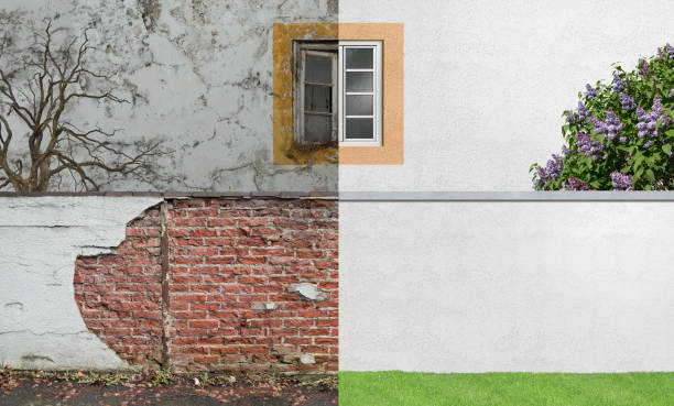 Best Emergency Mold Remediation  in Kathleen, FL