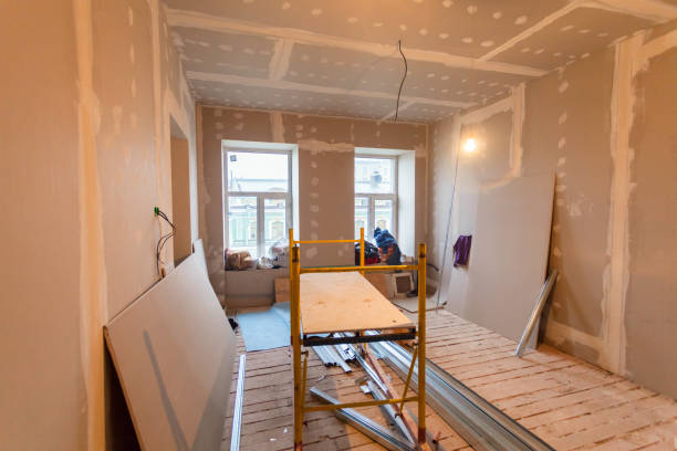 Best Mold Odor Removal Services  in Kathleen, FL
